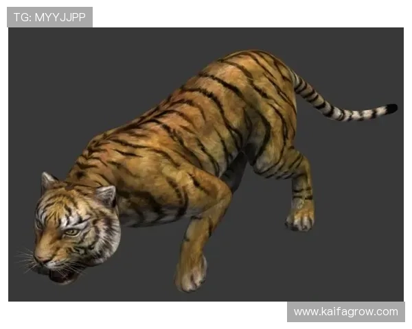 凯发注册app在线老虎游戏安全可靠，轻松体验高收益娱乐新体验