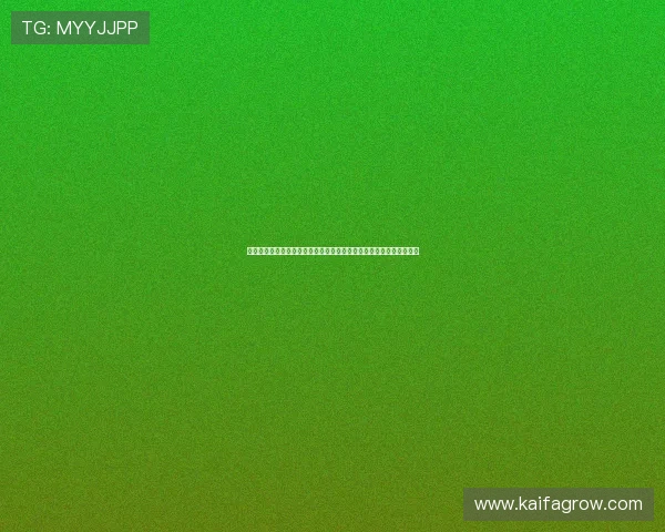 凯发九游娱乐手机网址注册指南，详细步骤帮助新手快速开启游戏之旅